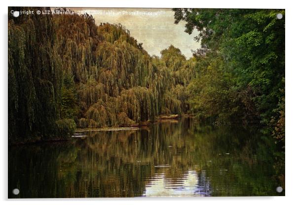 Down By The Lake Acrylic by LIZ Alderdice