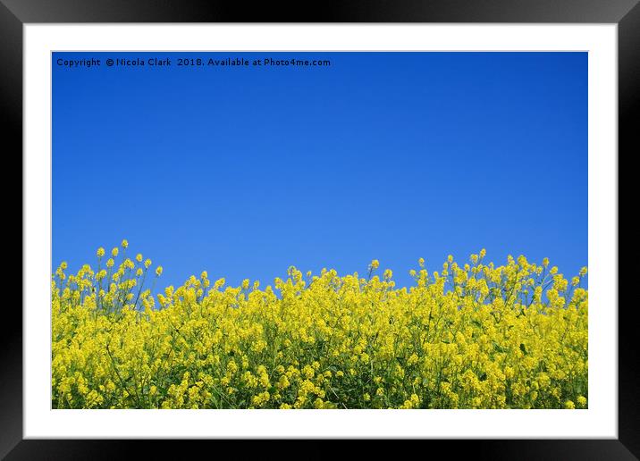 Blue And Yellow Framed Mounted Print by Nicola Clark