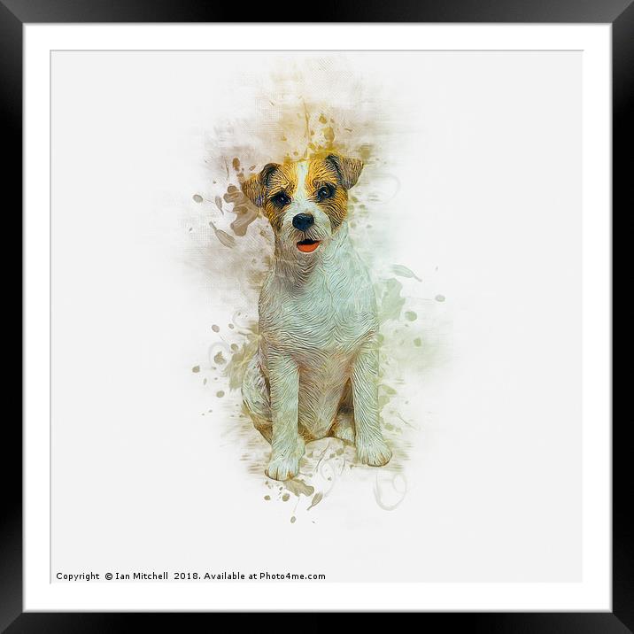 Jack Russell Framed Mounted Print by Ian Mitchell