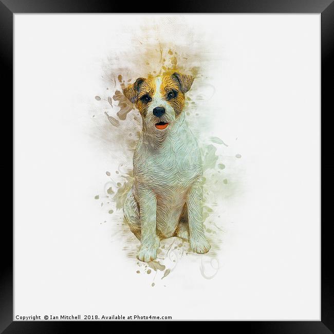 Jack Russell Framed Print by Ian Mitchell