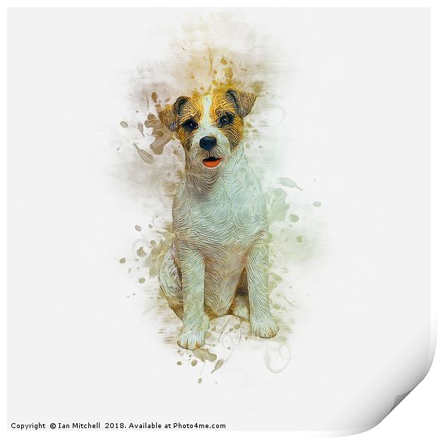 Jack Russell Print by Ian Mitchell