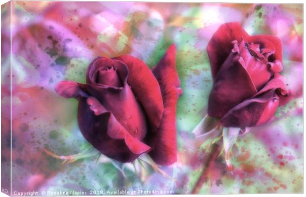 Two red roses with abstract background Canvas Print by Rosaline Napier