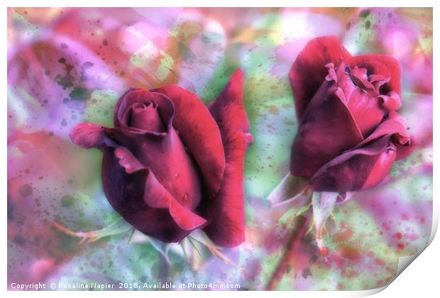 Two red roses with abstract background Print by Rosaline Napier