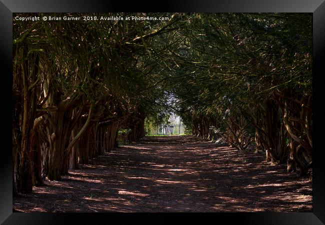 Avenue to the Gate Framed Print by Brian Garner