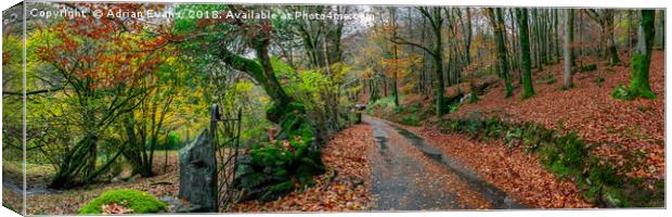 Autumn Panorama Canvas Print by Adrian Evans