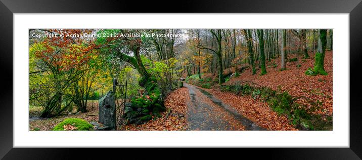 Autumn Panorama Framed Mounted Print by Adrian Evans