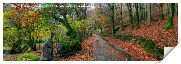 Autumn Panorama Print by Adrian Evans