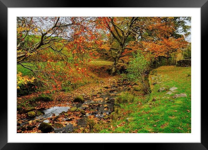 The Bronte Way Wycoller Framed Mounted Print by Diana Mower