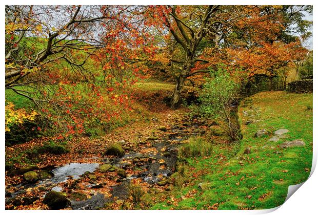 The Bronte Way Wycoller Print by Diana Mower