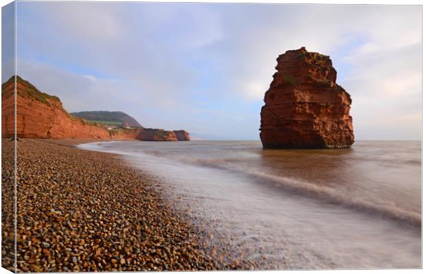 Ladram Bay sea stack Canvas Print by David Neighbour