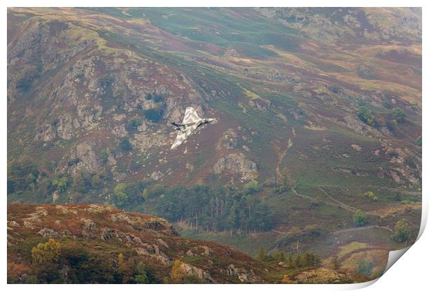 Vulcan Flypast at Ambleside Print by Roger Green