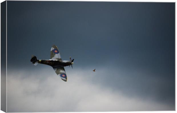 Spitfire chasing the birdie  Canvas Print by Neil Greenhalgh