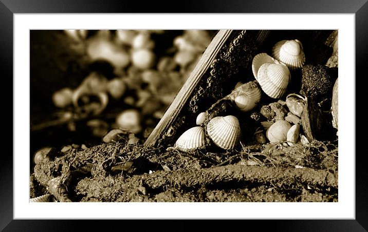 Shell triangle Framed Mounted Print by Ashley Allen
