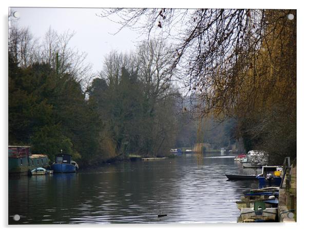 Riverside, River Yare, Norwich Acrylic by Sheryl Brown