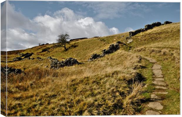 Yorkshire Dales Pathway Canvas Print by Diana Mower
