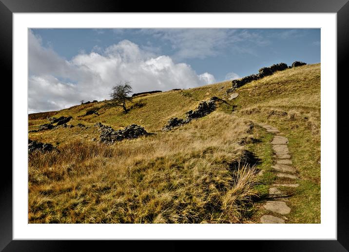Yorkshire Dales Pathway Framed Mounted Print by Diana Mower