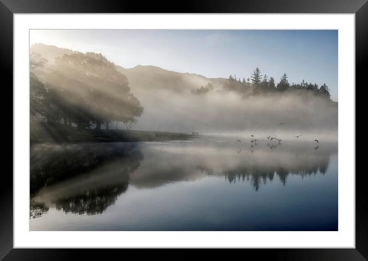 Flying through the Mist  Framed Mounted Print by Tracey Whitefoot