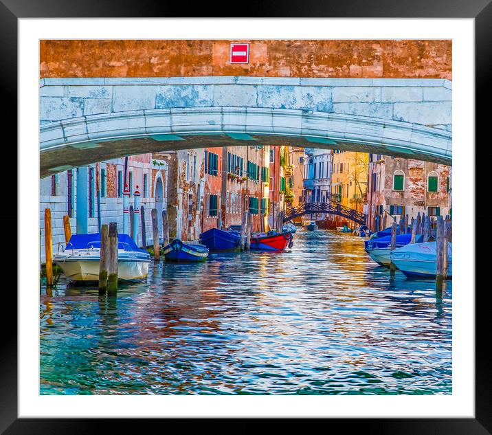 Afternoon Light in Venice Canal Framed Mounted Print by Darryl Brooks