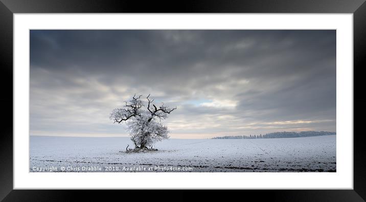 In the grip of a Winters day Framed Mounted Print by Chris Drabble