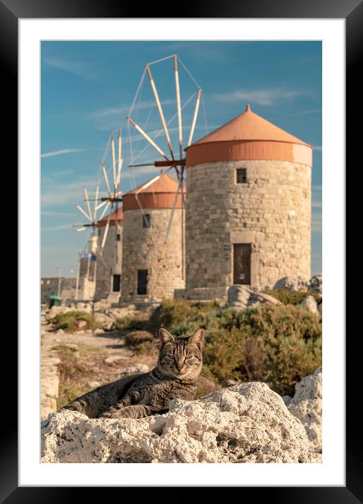 Rhodes Windmill Cats Framed Mounted Print by Antony McAulay