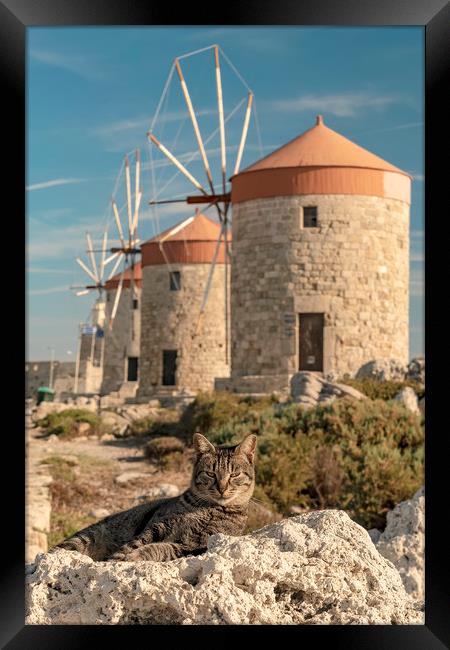 Rhodes Windmill Cats Framed Print by Antony McAulay
