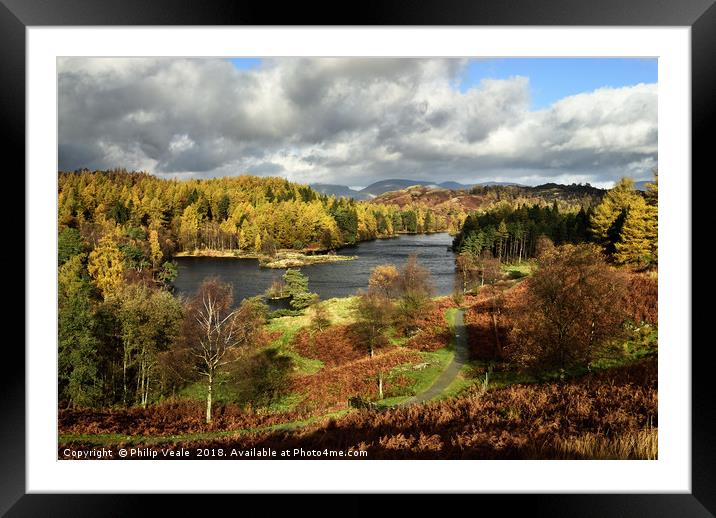 Tarn Howes in Autumn, The Lake District. Framed Mounted Print by Philip Veale