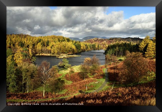 Tarn Howes in Autumn, The Lake District. Framed Print by Philip Veale