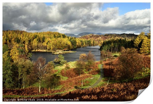 Tarn Howes in Autumn, The Lake District. Print by Philip Veale