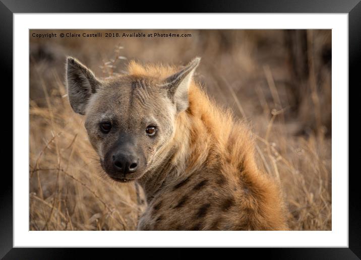 Who you looking at? Framed Mounted Print by Claire Castelli