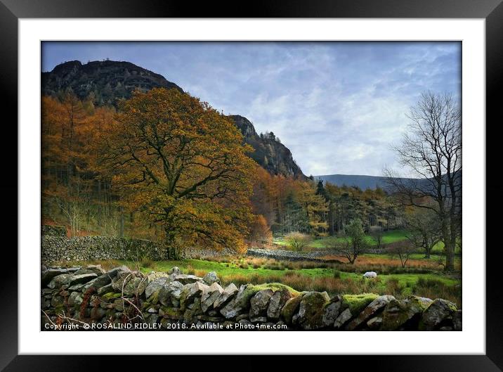 "Autumn in Ennerdale" Framed Mounted Print by ROS RIDLEY