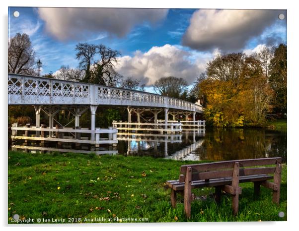 Whitchurch Toll Bridge Acrylic by Ian Lewis