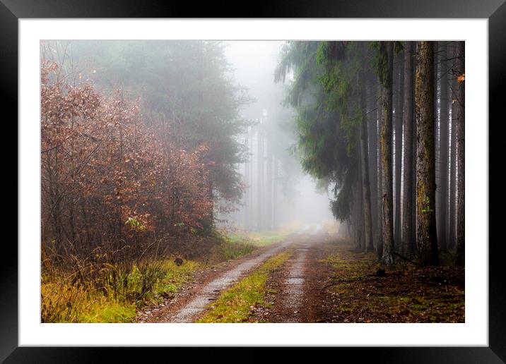 Forest in fog, autumn in a forest of the Czech Rep Framed Mounted Print by Sergey Fedoskin