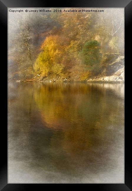 Autumn Reflections Framed Print by Linsey Williams