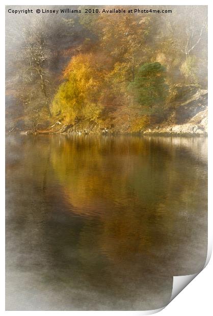 Autumn Reflections Print by Linsey Williams