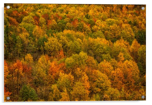 Autumn Gold Acrylic by Steve Purnell