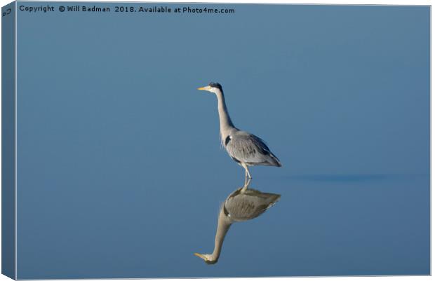 Mirror image of a Heron on the lake Canvas Print by Will Badman