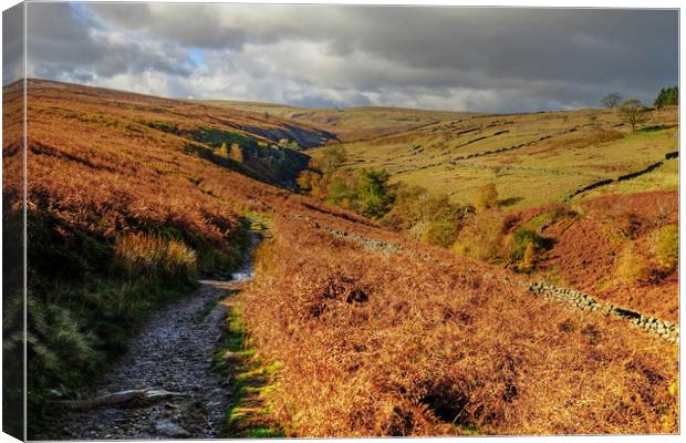  Yorkshire Dales  Canvas Print by Diana Mower