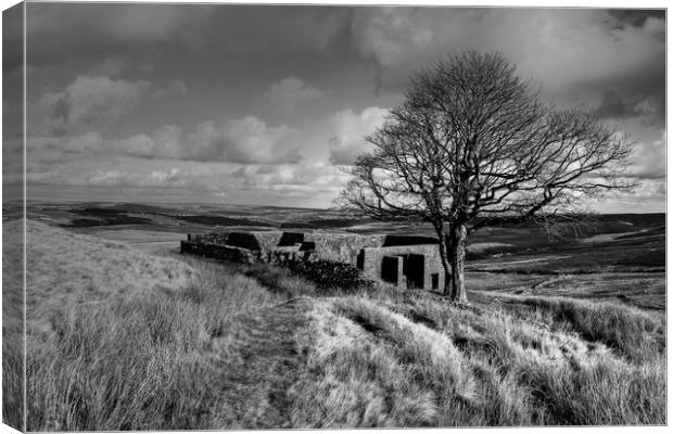 Top Withens Yorkshire Dales Canvas Print by Diana Mower