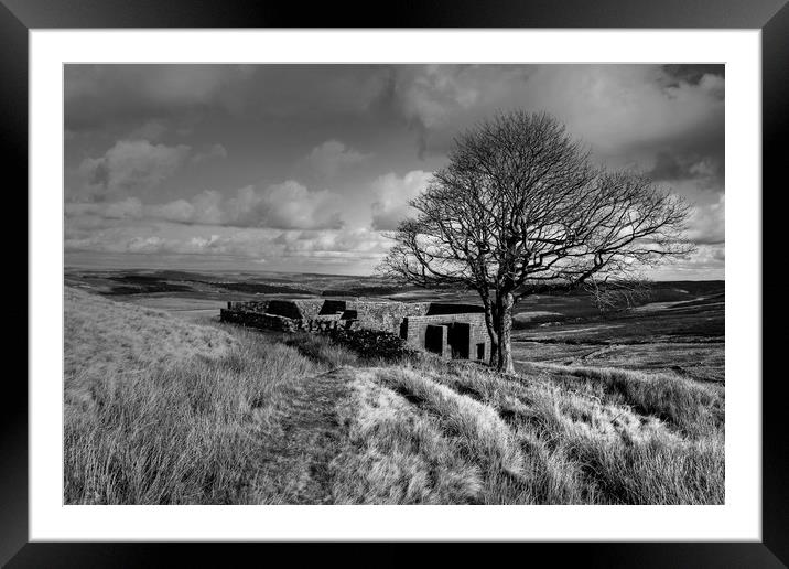Top Withens Yorkshire Dales Framed Mounted Print by Diana Mower