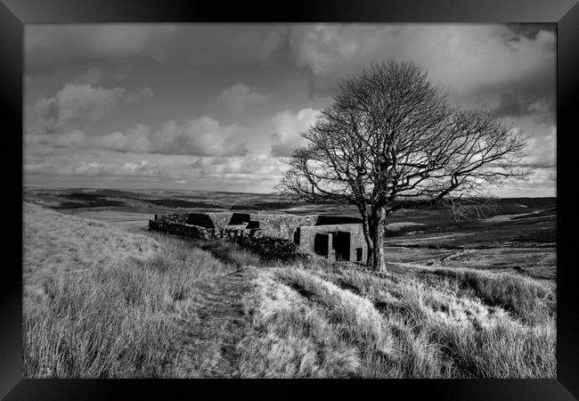 Top Withens Yorkshire Dales Framed Print by Diana Mower
