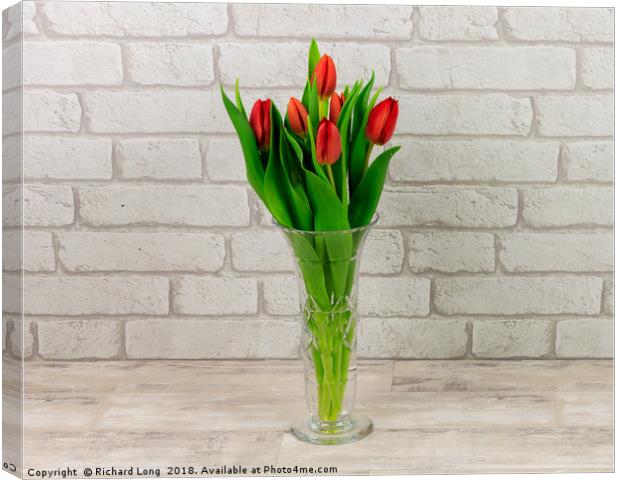 Red Tulips in a glass vase Canvas Print by Richard Long