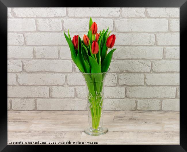 Red Tulips in a glass vase Framed Print by Richard Long