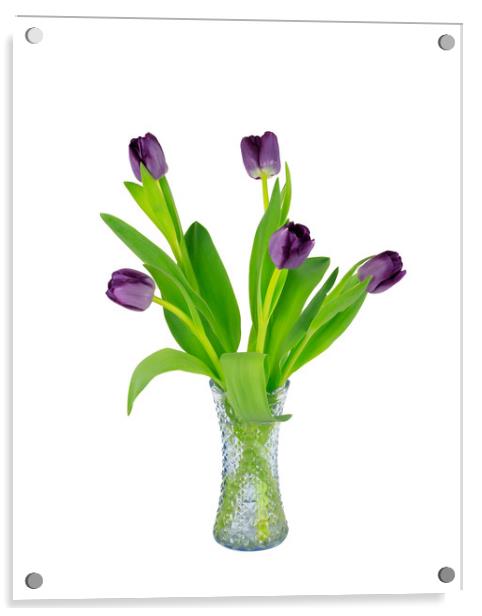 Purple Tulips in a glass vase Acrylic by Richard Long