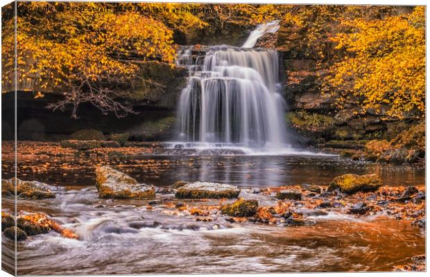 West Burton Falls Canvas Print by Peter Stuart