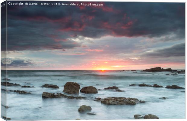 Stormy Sunset Canvas Print by David Forster