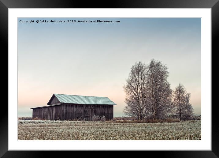 Barn House And Birch Trees On A Frosty Morning Framed Mounted Print by Jukka Heinovirta