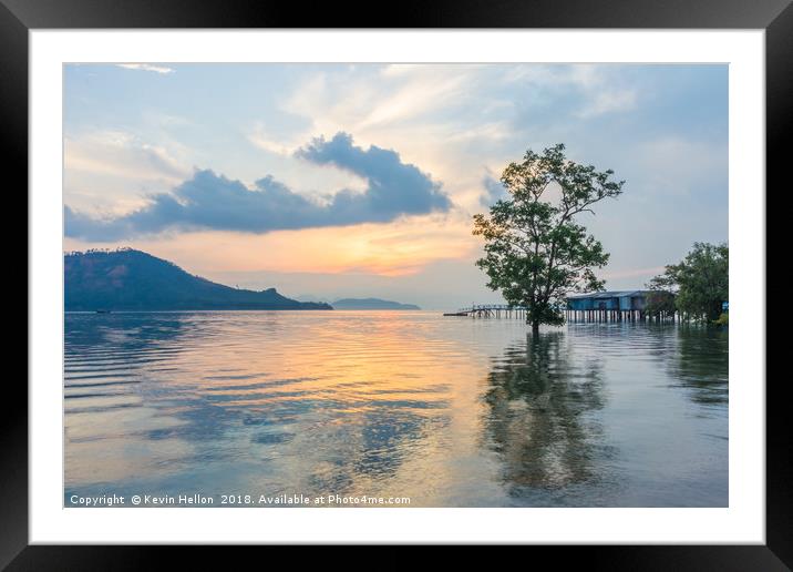 Mangrove tree at sunrise  Framed Mounted Print by Kevin Hellon