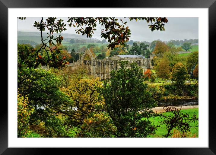 Bolton Priory Ruins Yorkshire Framed Mounted Print by Diana Mower