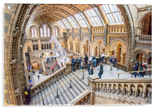 Natural History Museum Acrylic by Graham Custance