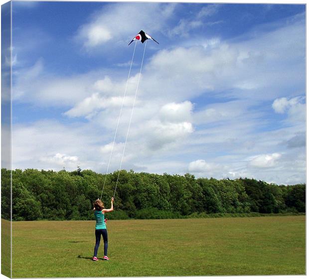 Lets go fly a kite!!!!!!!!! Canvas Print by Donna Collett